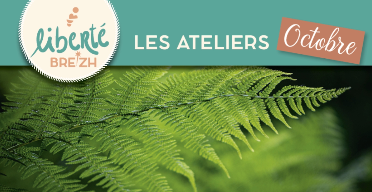Atelier nature pour Liberté Brezh par Naïna à Saint-Avé